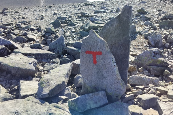 A red T marks the trails throughout Jotunheimen.